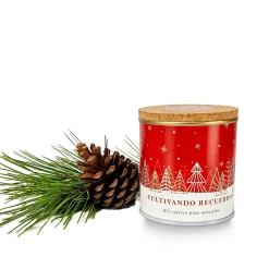 Kit de Cultivo Pino Paisaje Nevado