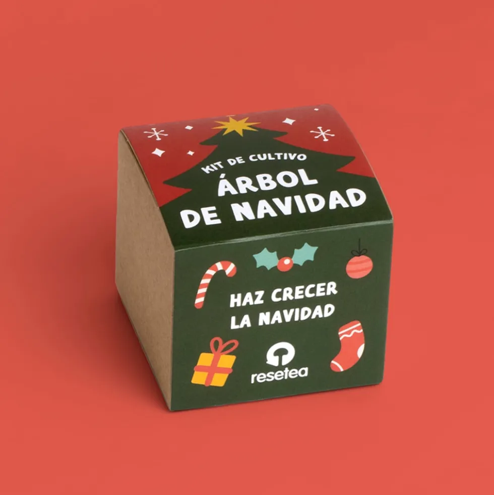 Kit de cultivo 'Árbol de Navidad'