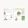 Libro El ABC del Bonsai