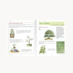 Libro El ABC del Bonsai