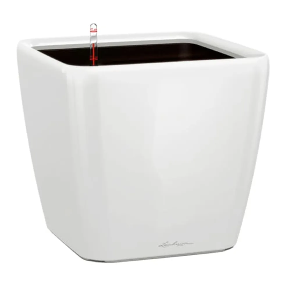 Maceta Autorriego Lechuza Quadro Premium blanco brillo
