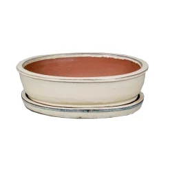 Maceta bonsai asuka+plato blanco