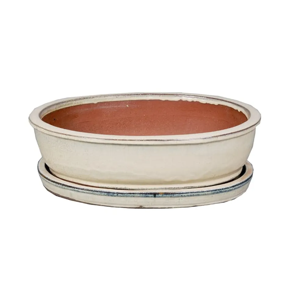 Maceta bonsai asuka+plato blanco