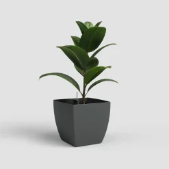 Maceta de autorriego Artevasi antracita mate Siena