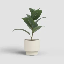 Maceta de Interior Artevasi Nysa crema mate