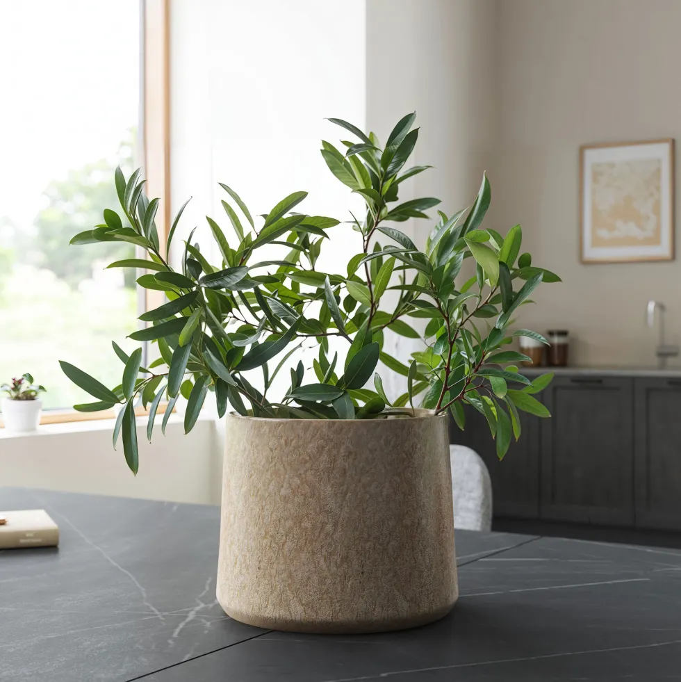 Maceta de Interior Artevasi Saturn beige