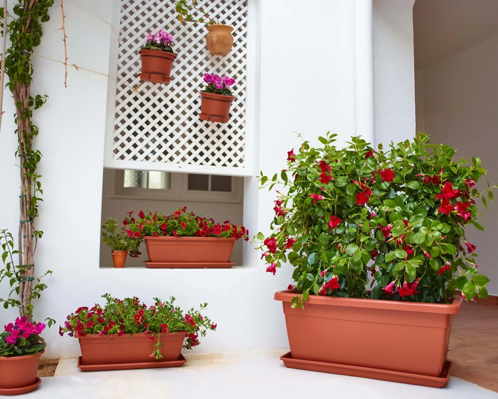 Maceta de plástico Artevasi antracita Venezia jardinera