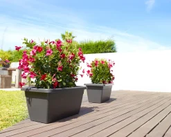 Maceta de plástico Artevasi antracita Venezia jardinera