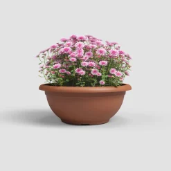 Maceta de plástico Artevasi terracota Venezia bol