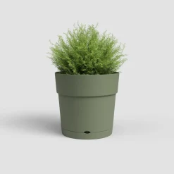 Maceta de Plástico Artevasi Verde grisáceo Capri cilindro