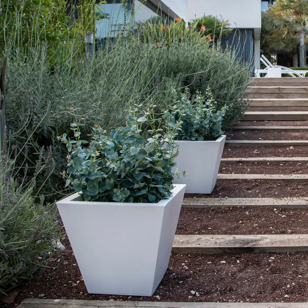 Maceta de Resina Clavel Blanco - New Garden
