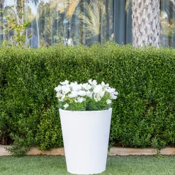 Maceta de Resina Gerbera Blanco - New Garden