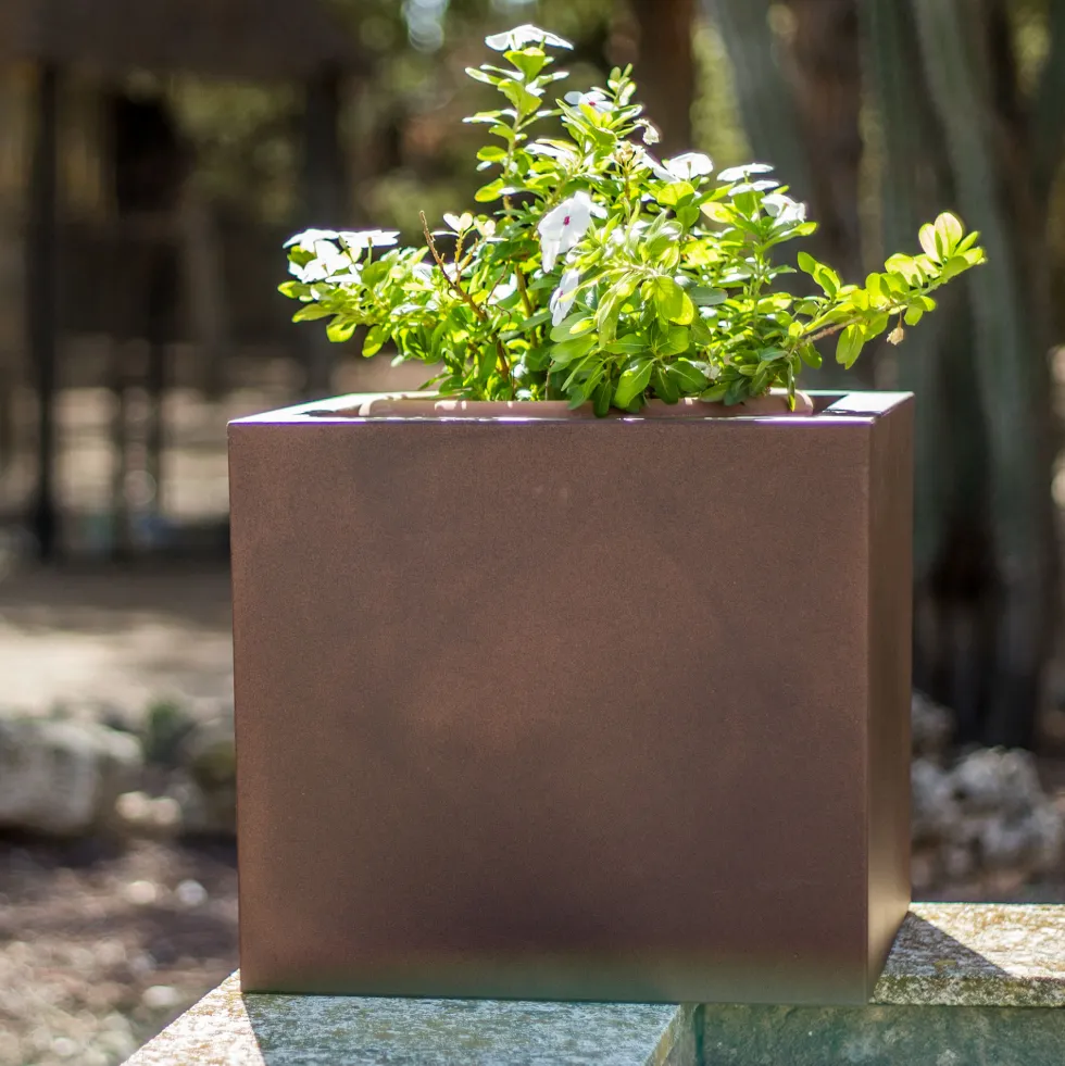 Maceta de Resina Narciso Bronce - New Garden