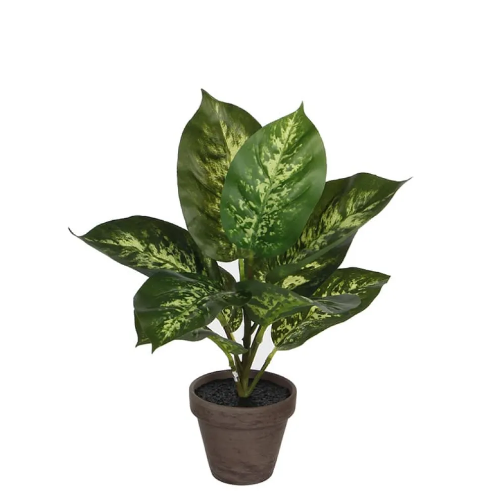 Maceta dieffenbachia artificial verde