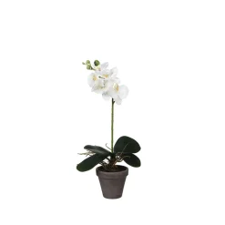 Maceta orquídea artificial blanca - 11.5x48cm