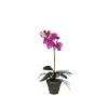 Maceta orquídea artificial púrpura - 48x13cm