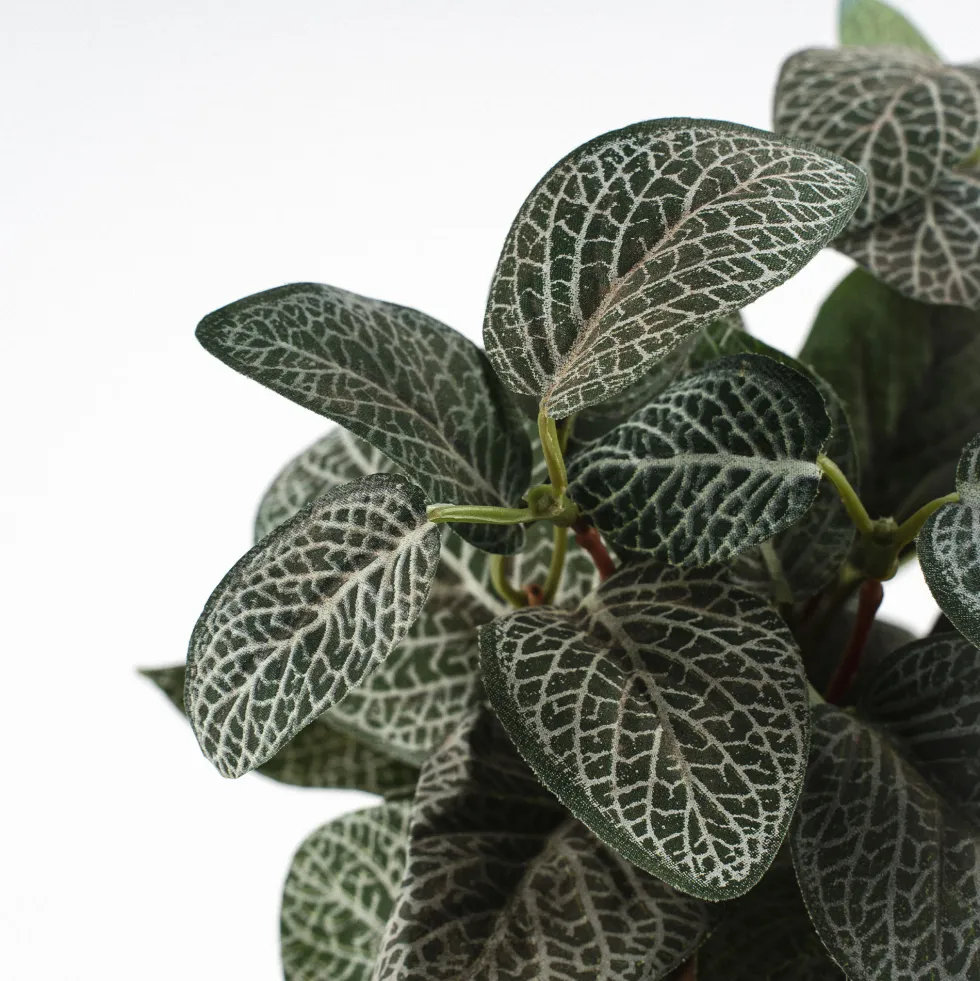 Maceta pilea artificial verde - 35x25cm