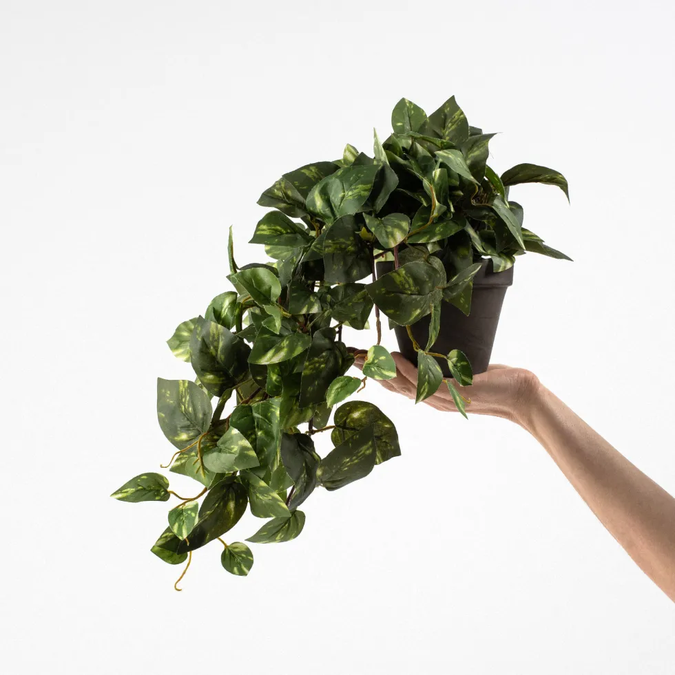 Maceta scindapsus artificial