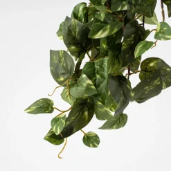Maceta scindapsus artificial
