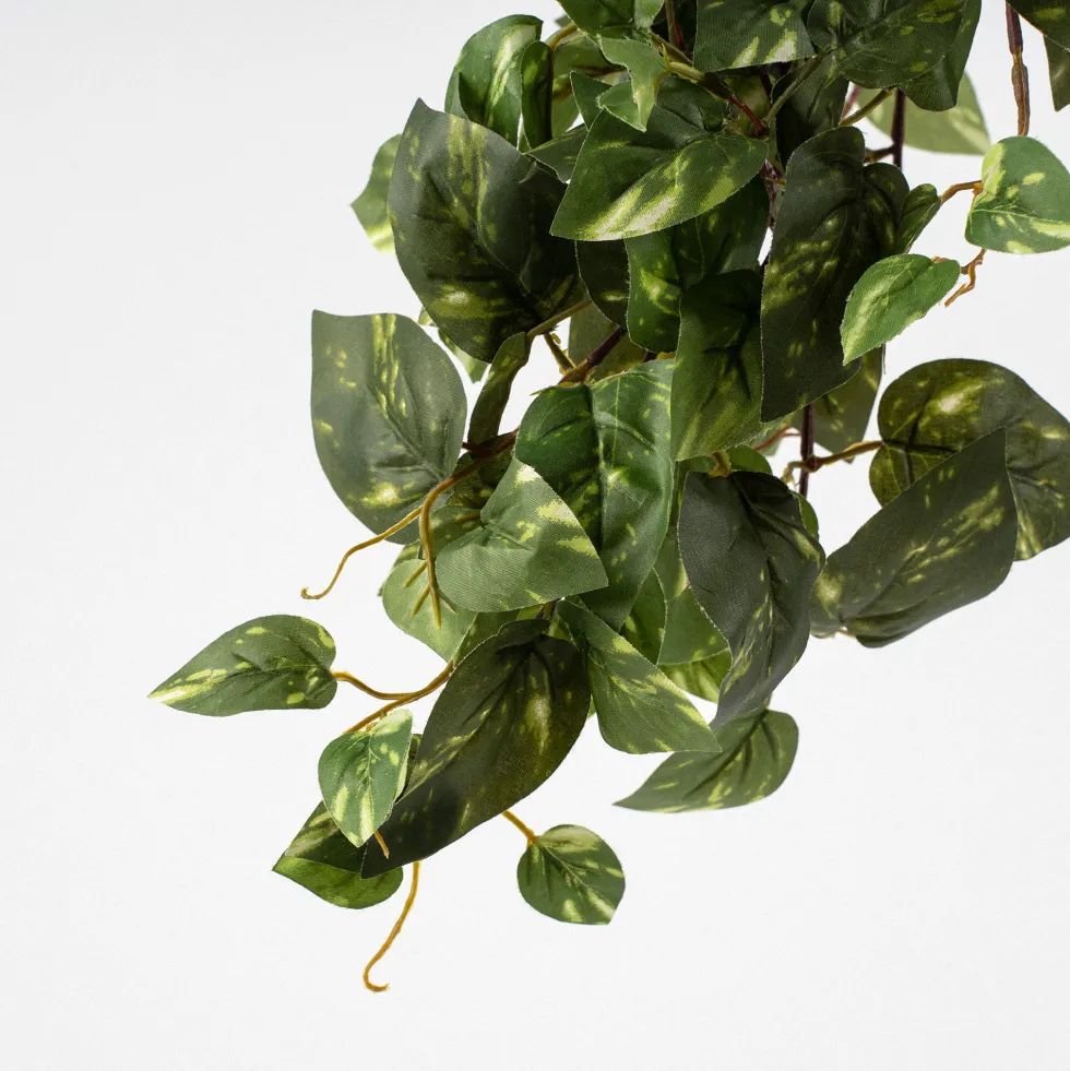 Maceta scindapsus artificial