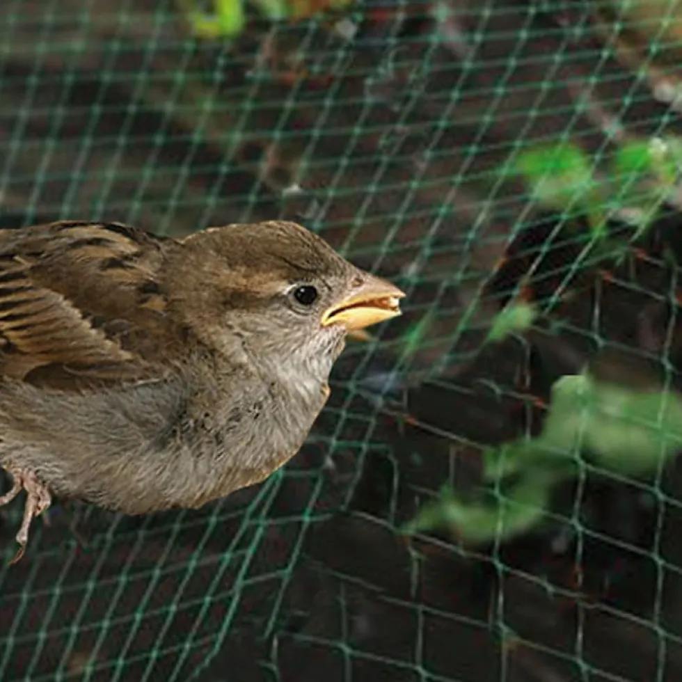 Malla antipajaros