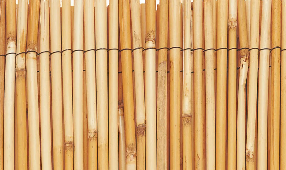 Ocultación de Cañizo natural REEDCANE