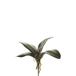 Orquídea con raíces artificial