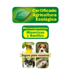 Palitos fertilizantes plantas verdes