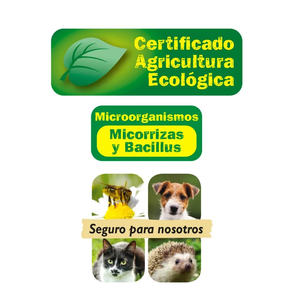 Palitos fertilizantes plantas verdes
