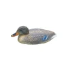 Pato salvaje hembra