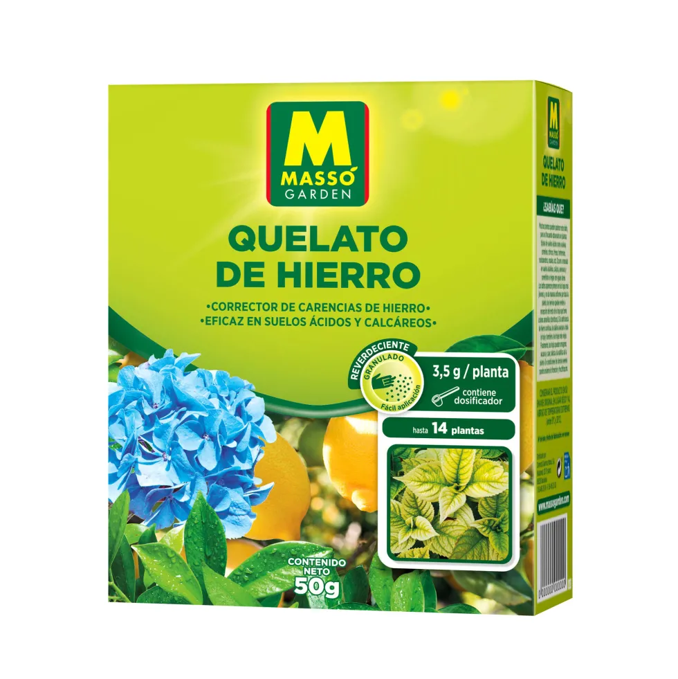 Quelato de hierro masso