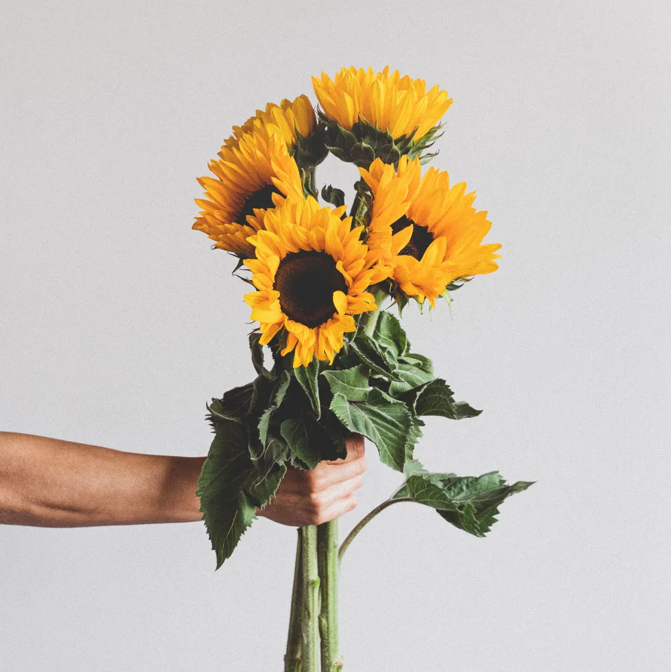 Ramillete de Girasoles