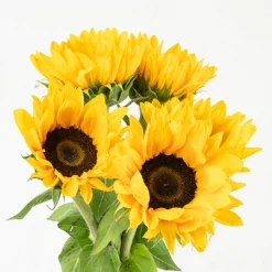 Ramillete de Girasoles