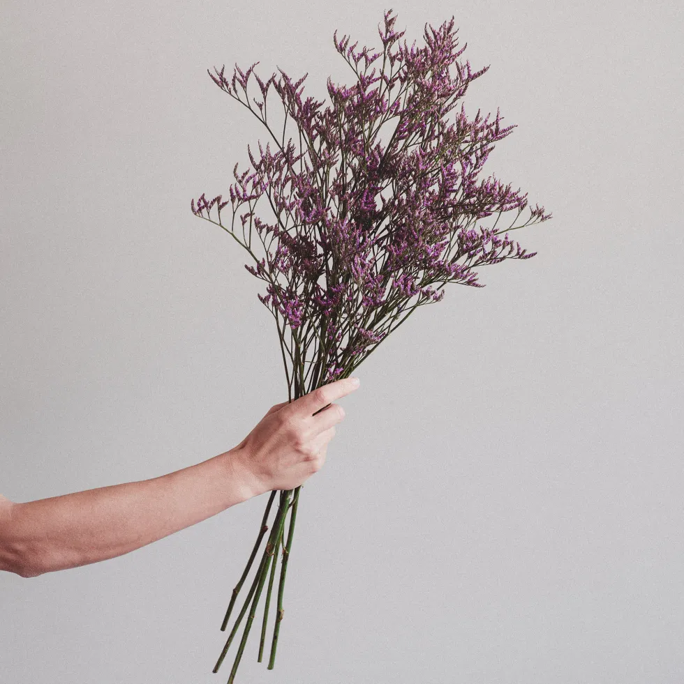 Ramillete de Limonium morado