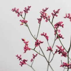 Ramillete de Limonium rosa