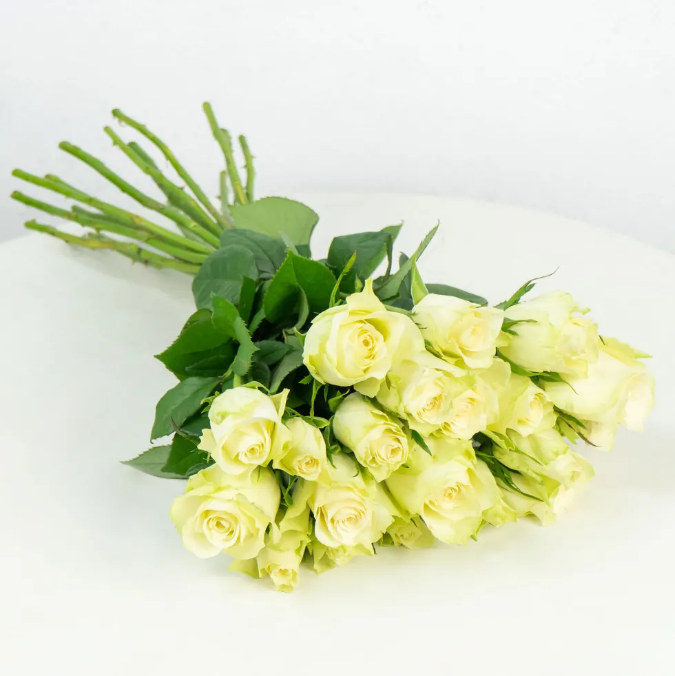 Ramillete de Mini Rosas Blancas