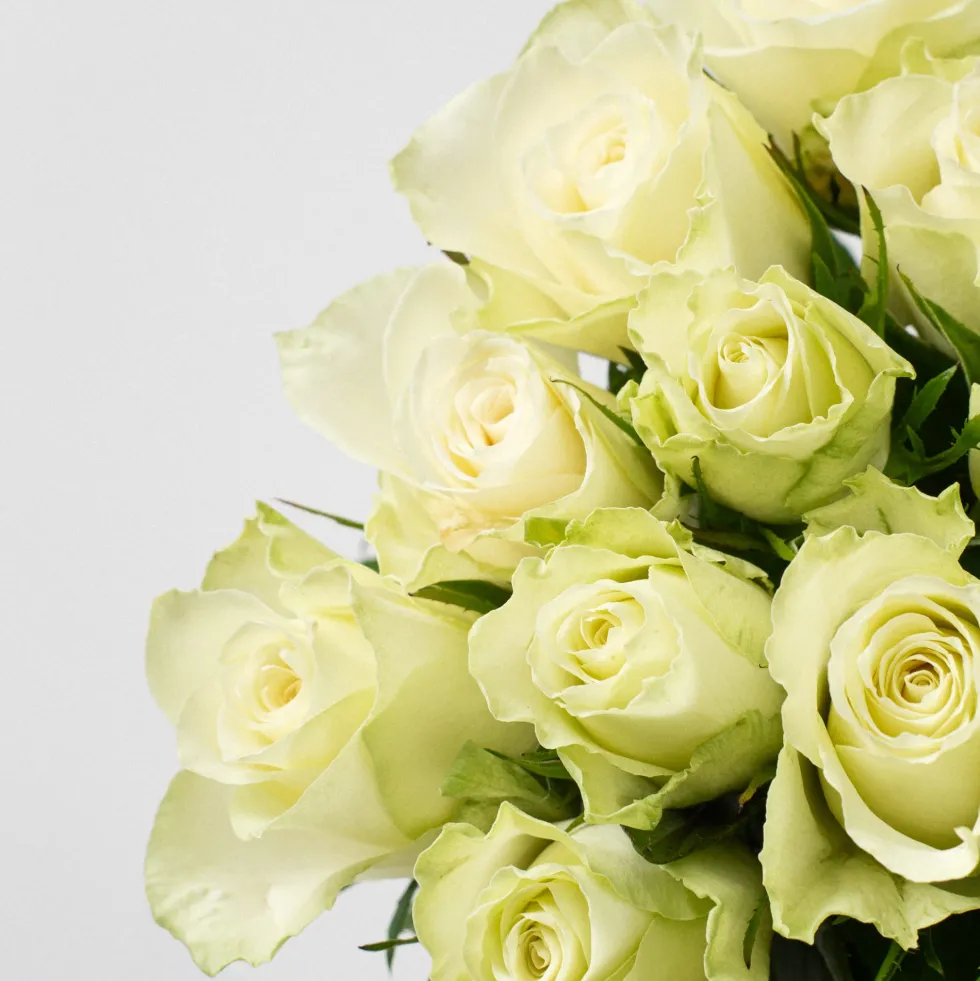 Ramillete de Mini Rosas Blancas