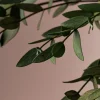 Ramillete Preservado de Eucalipto Parvifolia verde