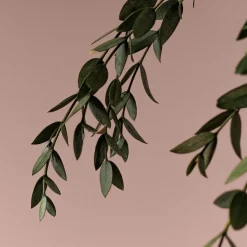 Ramillete Preservado de Eucalipto Parvifolia verde