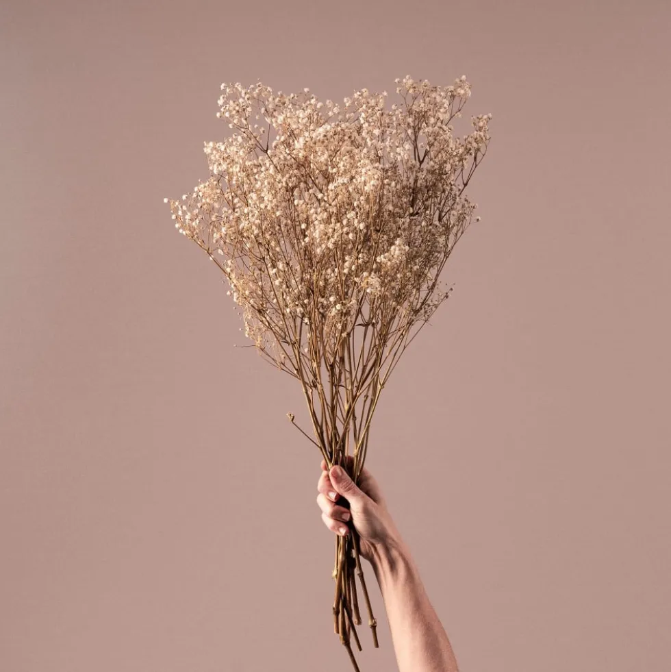 Ramillete Preservado de Paniculata Million Daisy natural