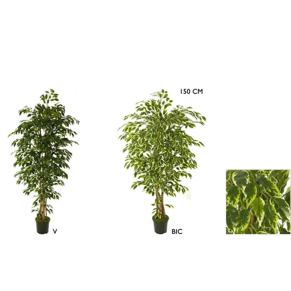 Árbol de Ficus hawai Artificial - 150cm