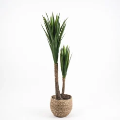 Árbol de Yucca artifical