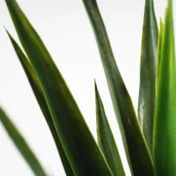 Árbol de Yucca artifical