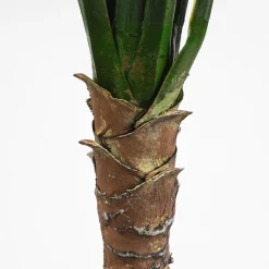 Árbol de Yucca artifical