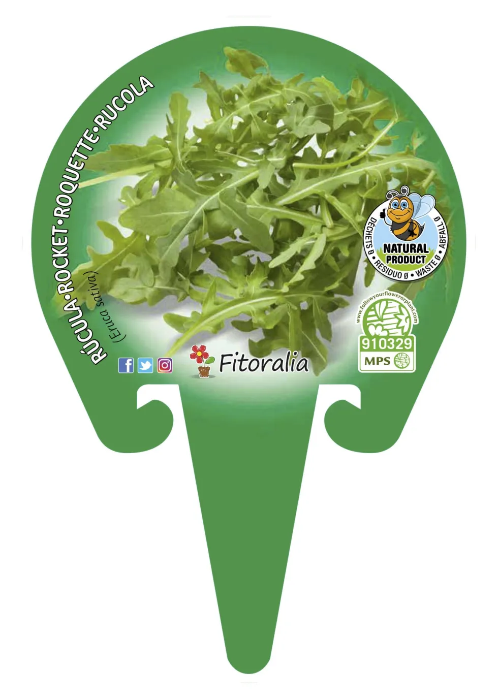 Rúcula - Planta de huerto