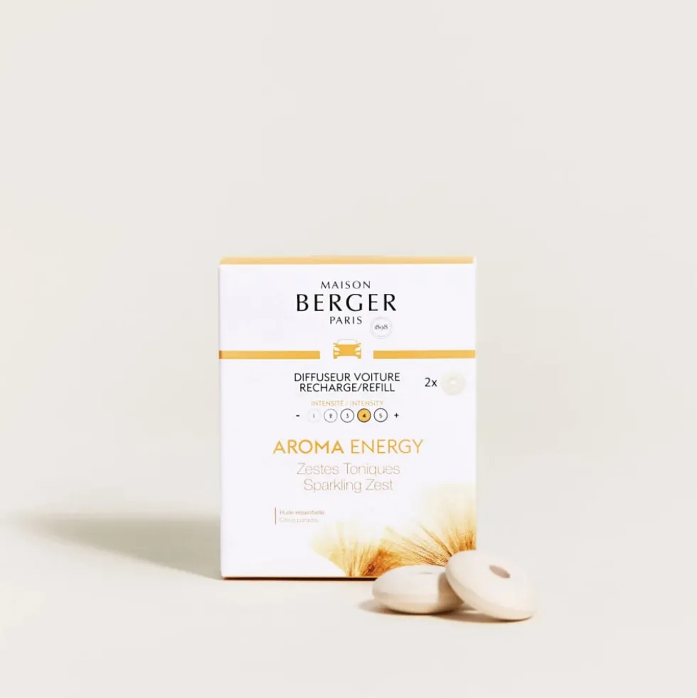 Recambio difusor de aromas para coche Berger Zestes Toniques