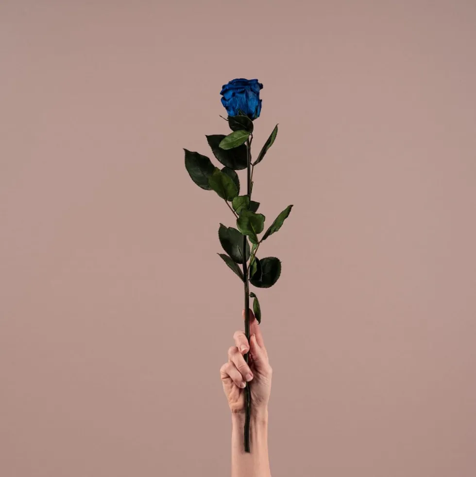 Rosa Preservada Eterna Azul