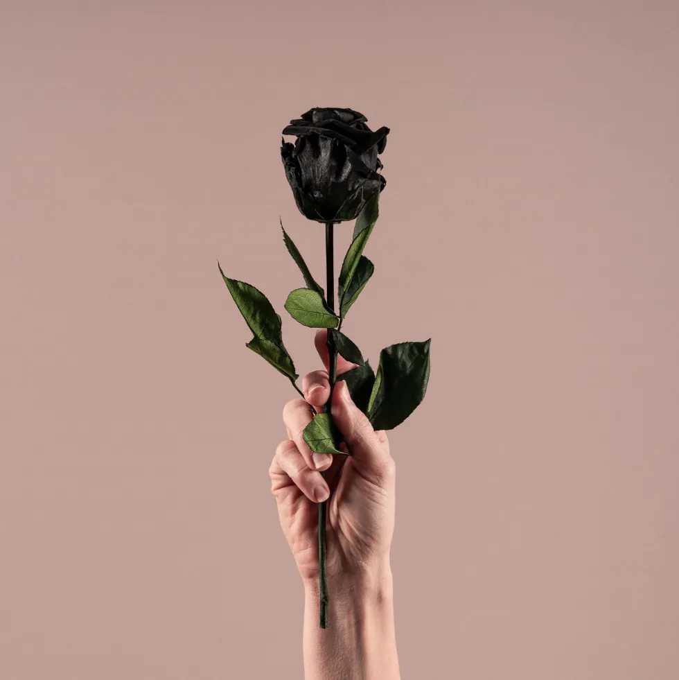 Rosa Preservada Eterna Negra
