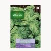 Semilla albahaca de hoja de lechuga
