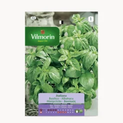 Semilla albahaca grande verde
